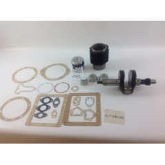 Kit de révision cylindre piston vilebrequin DIESEL LOMBARDINI 3LD510 automotive