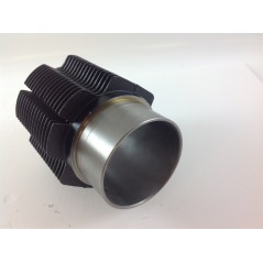 Kit revisione cilindro pistone albero motore DIESEL LOMBARDINI 3LD510 industriale | NewgardenParts.com