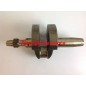 Kit revisione cilindro pistone albero motore DIESEL LOMBARDINI 4LD820 AUTOTRAZIONE