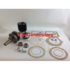 Kit revisión cilindro pistón cigüeñal DIESEL LOMBARDINI 4LD820 CARTRACTION | NewgardenParts.com