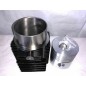 Kit revisione cilindro pistone albero motore DIESEL LOMBARDINI LDA100 AUTOTRAZIONE