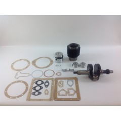 Überholungskit Zylinder Kolben Kurbelwelle DIESEL LOMBARDINI LDA510 automotive | NewgardenParts.com