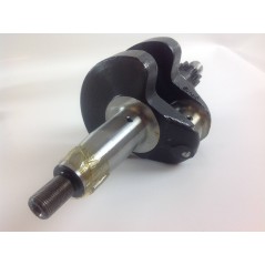 Überholungskit Zylinder Kolben Kurbelwelle DIESEL LOMBARDINI LDA510 automotive | NewgardenParts.com