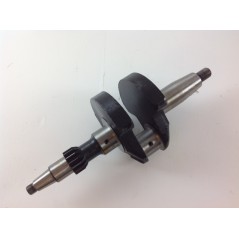 Overhaul kit cylinder piston crankshaft DIESEL LOMBARDINI LDA510 industrial | NewgardenParts.com