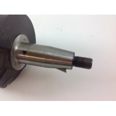 Überholungskit Zylinder-Kolben-Kurbelwelle DIESEL LOMBARDINI LDA510 industrial | NewgardenParts.com