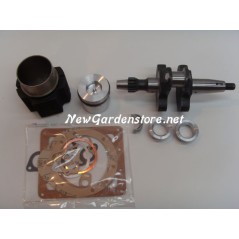 Überholungskit Zylinder-Kolben-Kurbelwellendichtungen DIESEL LOMBARDINI 6LD360 | NewgardenParts.com