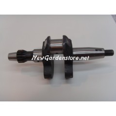 Overhaul kit cylinder piston crankshaft seals DIESEL LOMBARDINI 6LD360 | NewgardenParts.com