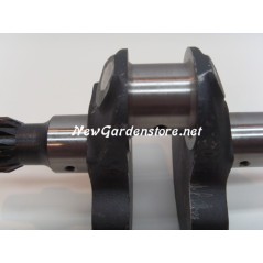 Overhaul kit cylinder piston crankshaft seals DIESEL LOMBARDINI 6LD360 | NewgardenParts.com