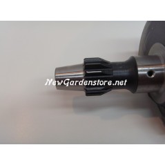 Kit revisione cilindro pistone guarnizioni albero motore DIESEL LOMBARDINI 6LD360 | NewgardenParts.com