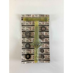 Kit de révision de coupe modèles 19 ORIGINAL GOLDONI 00070873 | NewgardenParts.com