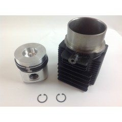 Engine overhaul kit crankshaft cylinder DIESEL LOMBARDINI 4LD640 LDA96 industrial | NewgardenParts.com