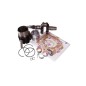 Engine overhaul kit DIESEL RUGGERINI RF120 shaft cylinder piston gaskets