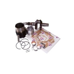 Kit revisión motor DIESEL RUGGERINI RF90 eje cilindro pistón juntas | NewgardenParts.com