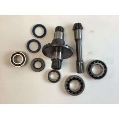 Kit ricambi revisione GOLDONI cassone fresa tipo 22 motocoltivatore 00070875 | NewgardenParts.com