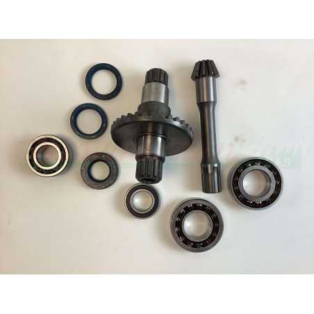 GOLDONI kit pièces détachées révision corps motoculteur type 22 moteur cultivateur 00070875 | NewgardenParts.com