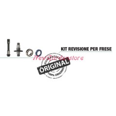 Kit ricambi revisione GOLDONI cassone fresa tipo 22 motocoltivatore 00070875 | NewgardenParts.com