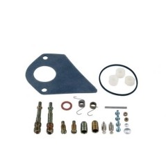 Carburettor repair kit BRIGGS&STRATTON 28 vertical engine cod. 499220 | NewgardenParts.com