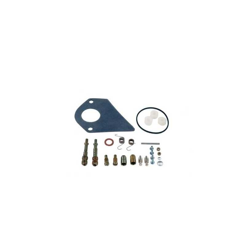 Carburettor repair kit BRIGGS&STRATTON 28 vertical engine cod. 499220