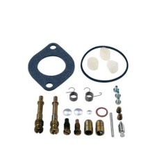 Kit riparazione carburatore motore BRIGGS&STRATTON 287707, 28777, 28N777, 28P777 | NewgardenParts.com