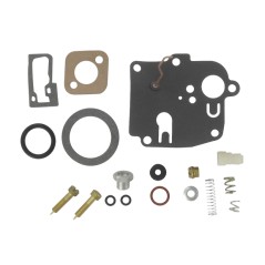 Carburettor repair kit BRIGGS&STRATTON engine 3-4 hp vertical | NewgardenParts.com