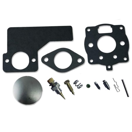 Kit riparazione carburatore ORIGINALE BRIGGS&STRATTON motore trattorino 394989 | NewgardenParts.com