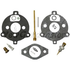 Kit riparazione carburatore trattorino tagliaerba BRIGGS & STRATTON 398235 | NewgardenParts.com