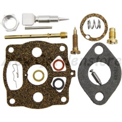 Kit riparazione carburatore trattorino tagliaerba BRIGGS&STRATTON 291691 | NewgardenParts.com