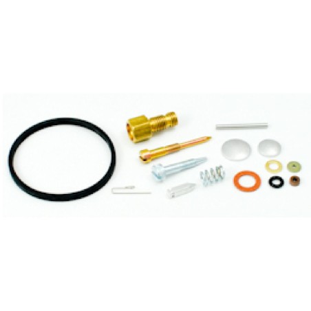 Kit riparazione compatibile con motore rasaerba TECUMSEH H25-70 LAV25-35 HS HM40 | NewgardenParts.com