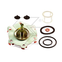Repair kit for feed diaphragm pump | NewgardenParts.com
