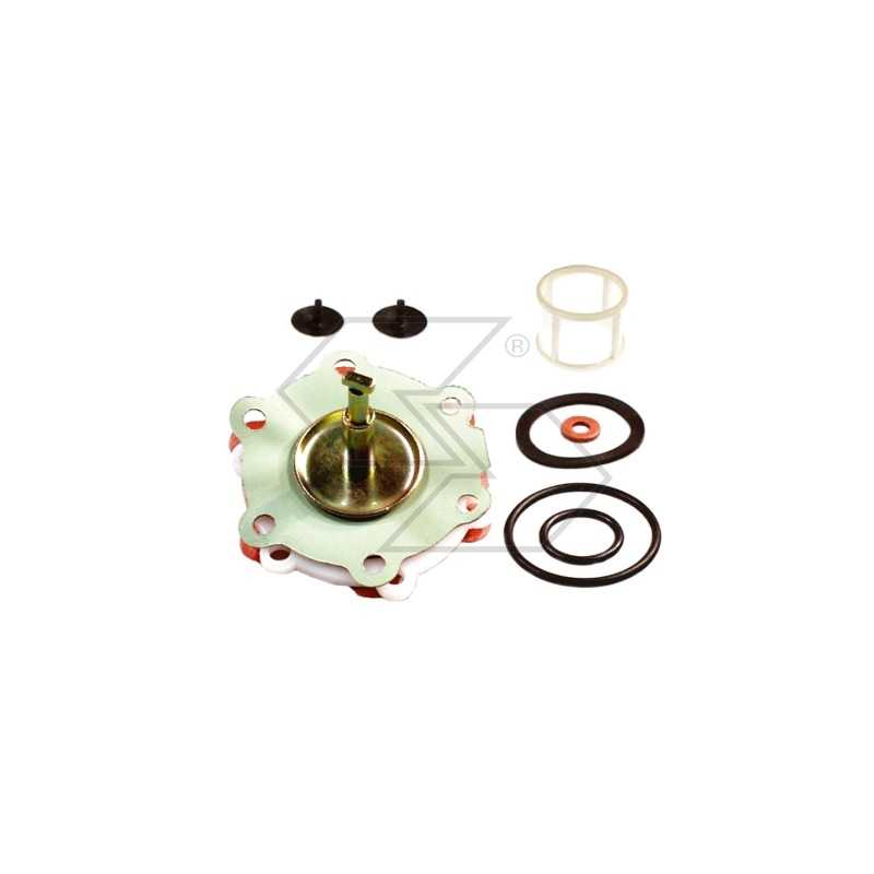 Repair kit for feed diaphragm pump
