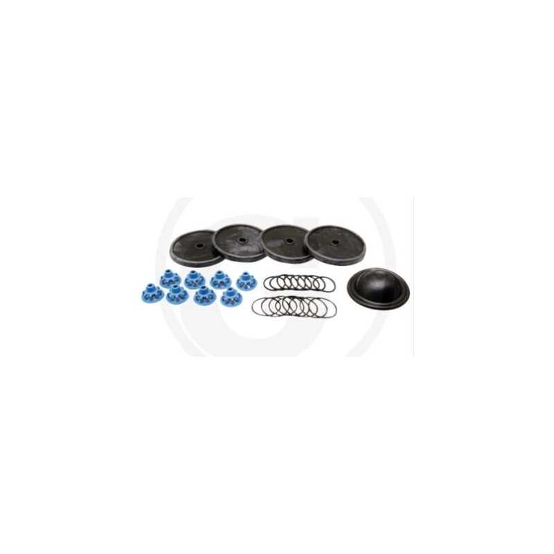 Kit de reparación para bomba de membrana APS 145 ANNOVI 6705026018000