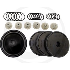 Repair kit for diaphragm pump APS 61 71 ANNOVI 6705026008500