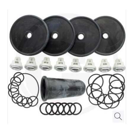 Reparatursatz für Membranpumpe APS 96 ANNOVI 6705026008700 | NewgardenParts.com