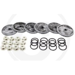 Kit riparazione per pompa a membrana BP 205K BP 235K ANNOVI 6705026035100 | NewgardenParts.com