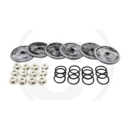 Kit riparazione per pompa a membrana BP 205K BP 235K ANNOVI 6705026035100 | NewgardenParts.com