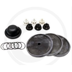 Kit riparazione per pompa a membrana IDS 1201 1401 ANNOVI 6705026036700 | NewgardenParts.com