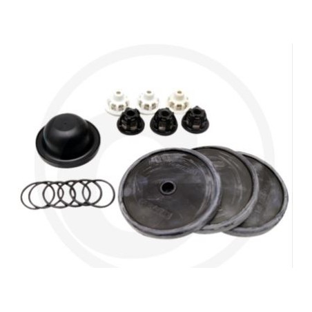 Kit riparazione per pompa a membrana IDS 1201 1401 ANNOVI 6705026036700 | NewgardenParts.com