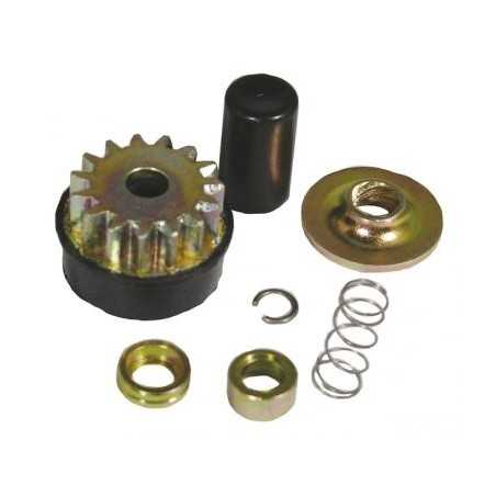 Strater repair kit compatible engine BRIGGS&STRATTON 245432-0004-H1 | NewgardenParts.com