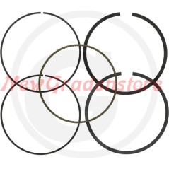 BRIGGS & STRATTON Motor Kolbenringe für Rasentraktor 594437 | NewgardenParts.com