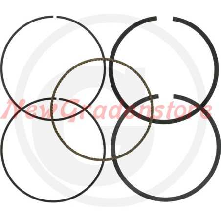 Kit bagues de piston BRIGGS & STRATTON pour tracteur de pelouse 594437 | NewgardenParts.com