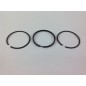 Kit segments de piston pour tracteur de pelouse BRIGGS&STRATTON compatible 493261