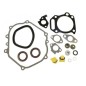 Dichtungssatz für KOHLER-Motor CH440