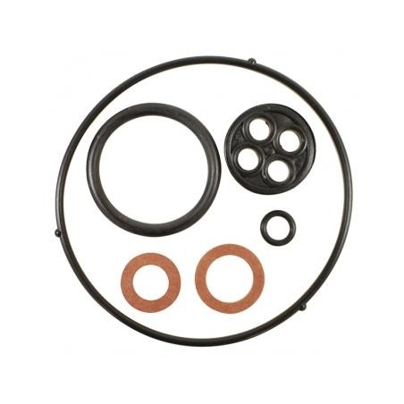 Kit set guarnizioni per carburatore per motore HONDA GX200 16010-ZE1-812 | NewgardenParts.com