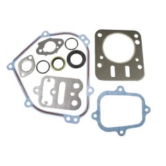 Kit set guarnizioni per motore BRIGGS&STRATTON serie 13L132-0310-F8