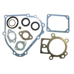 Kit set guarnizioni per motore BRIGGS&STRATTON serie 19L132-0320-F1 | NewgardenParts.com