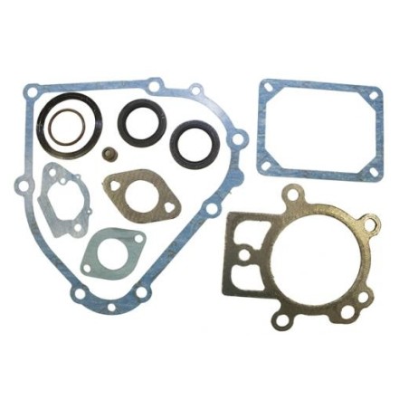 Kit set guarnizioni per motore BRIGGS&STRATTON serie 19L132-0320-F1 | NewgardenParts.com