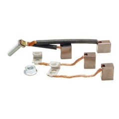 Brush kit compatible with BRIGGS&STRATTON motor 126302-0779-H8 126302-3236-H8 | NewgardenParts.com