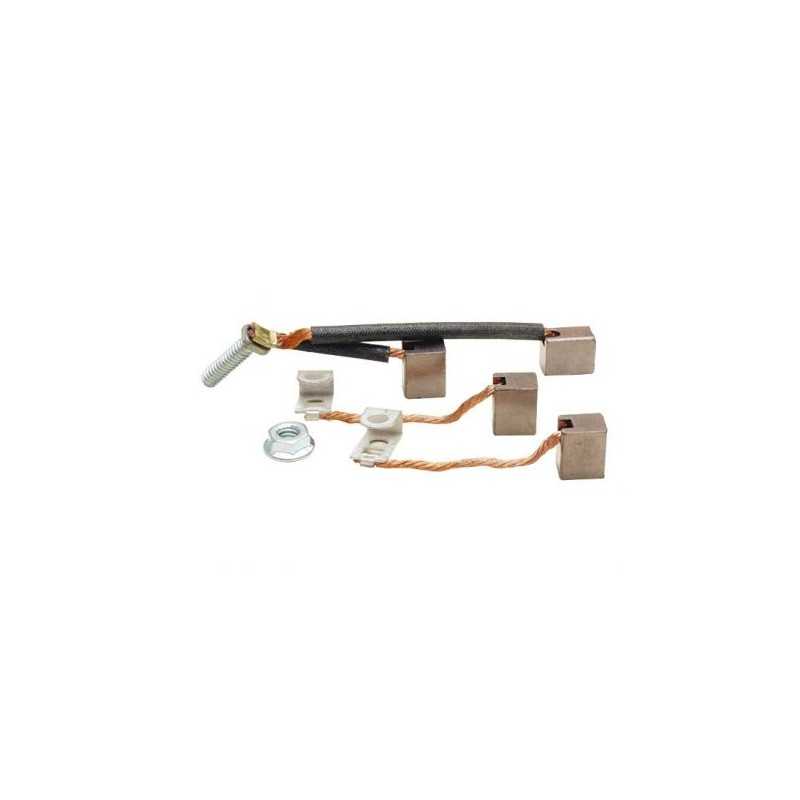 Bürstensatz, kompatibel mit BRIGGS&STRATTON-Motor 126302-0779-H8 126302-3236-H8