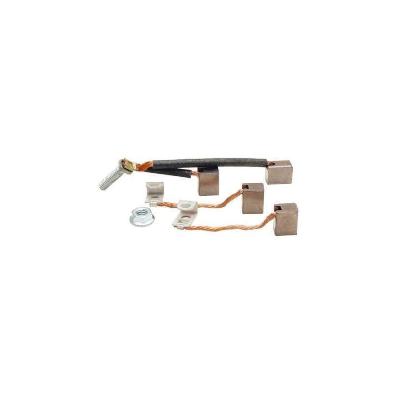 Kit spazzole compatibile motore BRIGGS&STRATTON 126302-0779-H8 126302-3236-H8