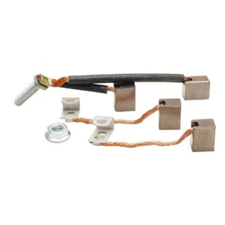 Kit spazzole compatibile motore BRIGGS&STRATTON 126302-0779-H8 126302-3236-H8 | NewgardenParts.com